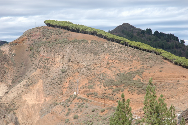 Gran Canaria